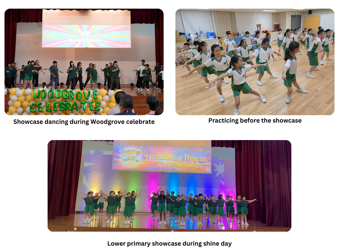 Learning for Life Programme (LLP): Shine Through Dance photo